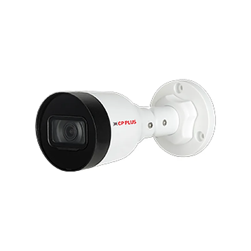IP cameras